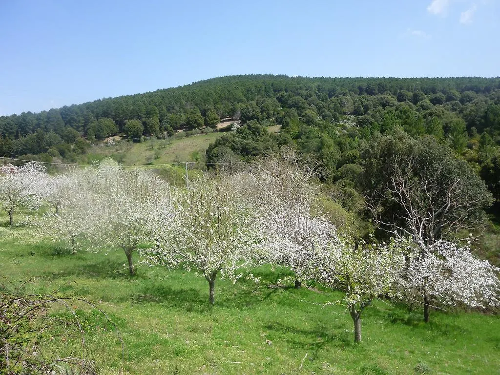 Agriturismo Ticci Seulo Farm stay